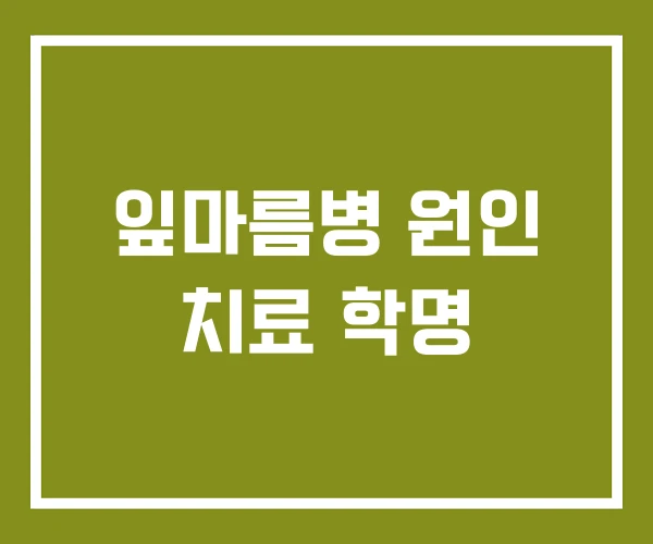 잎마름병 원인 치료 학명 잎마름병 원인 치료 학명