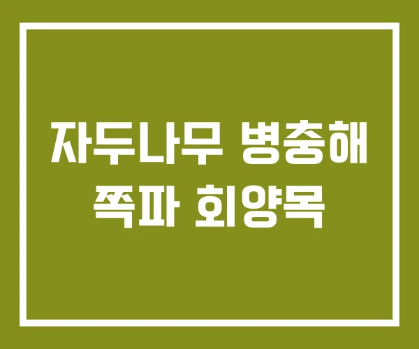 자두나무 병충해 쪽파 회양목