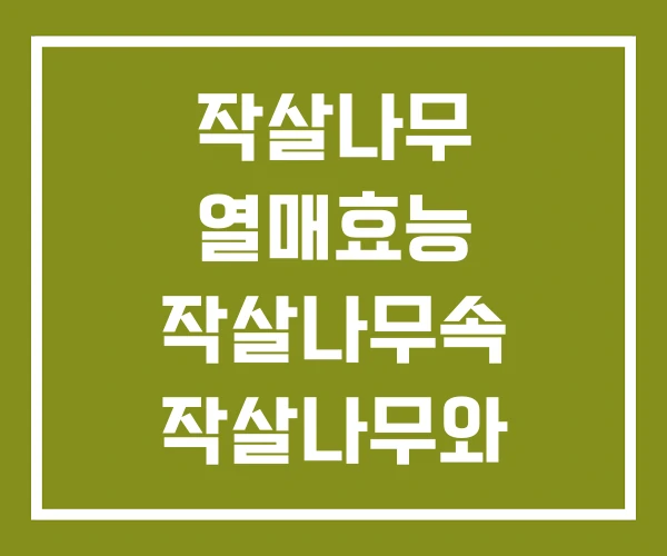 작살나무 열매효능 작살나무속 작살나무와 좀작살나무