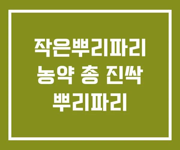작은뿌리파리 농약 총 진싹 뿌리파리