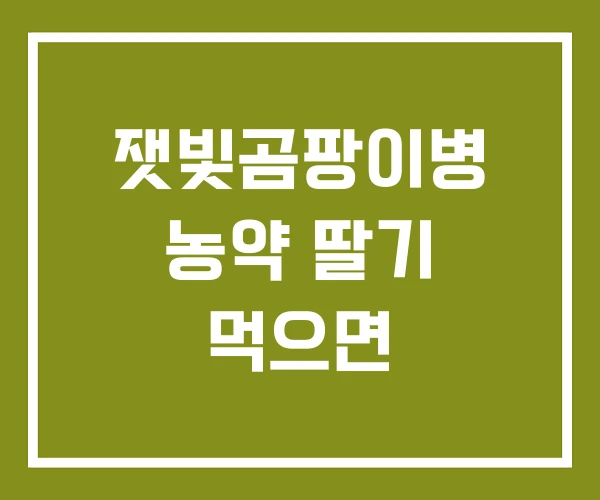 잿빛곰팡이병 농약 딸기 먹으면 잿빛곰팡이병 농약 딸기 먹으면