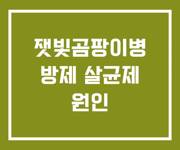 잿빛곰팡이병 방제 살균제 원인 잿빛곰팡이병 방제 살균제 원인