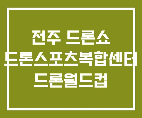 전주 드론쇼 드론스포츠복합센터 드론월드컵