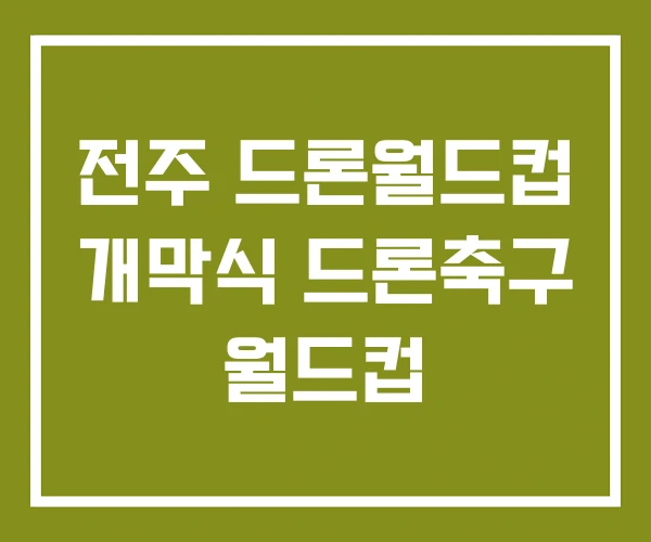 전주 드론월드컵 개막식 드론축구 월드컵
