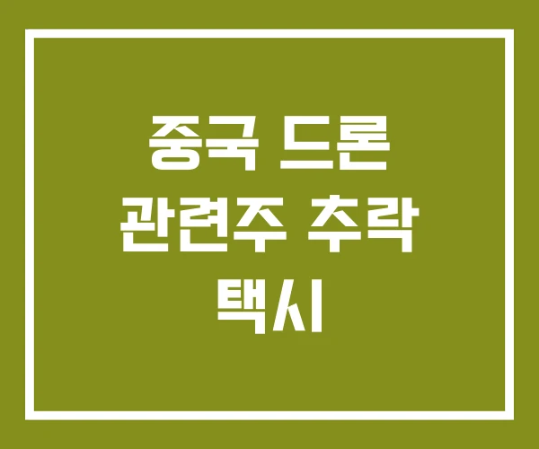 중국 드론 관련주 추락 택시