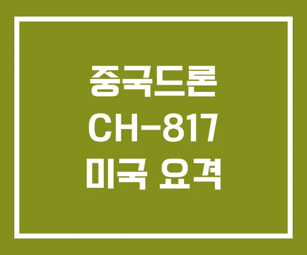 중국드론 CH-817 미국 요격