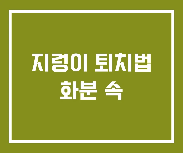 지렁이 퇴치법 화분 속