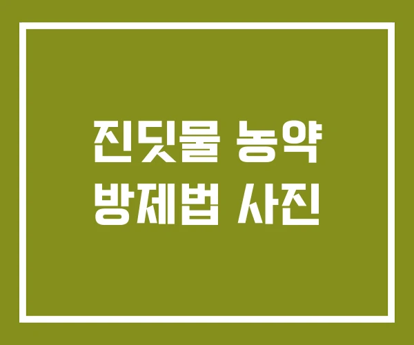 진딧물 농약 방제법 사진