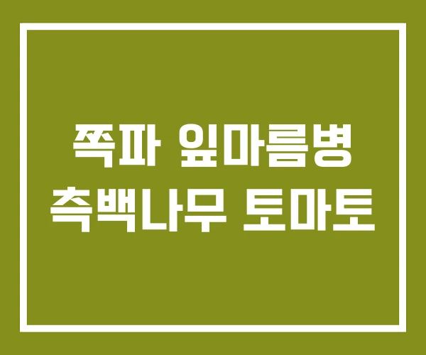 쪽파 잎마름병 측백나무 토마토