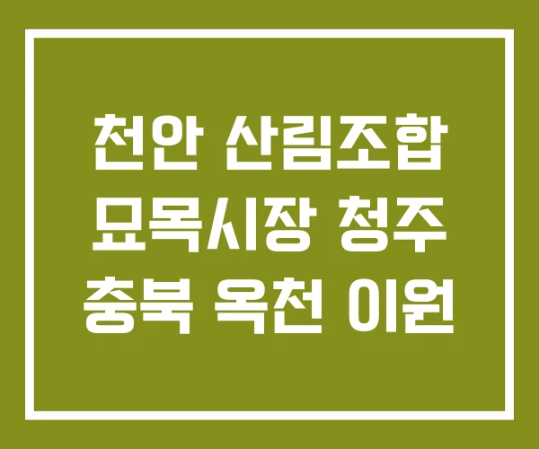 천안 산림조합 묘목시장 청주 충북 옥천 이원 천안 산림조합 묘목시장 청주 충북 옥천 이원
