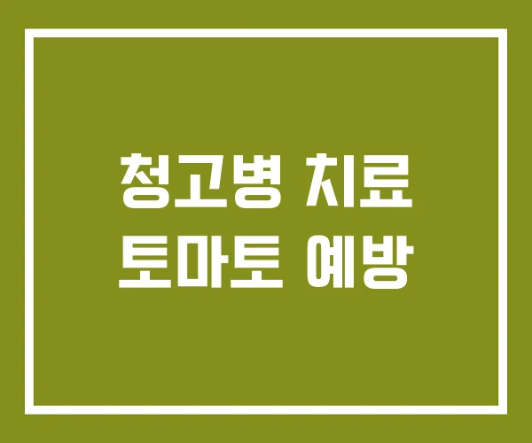 청고병 치료 토마토 예방