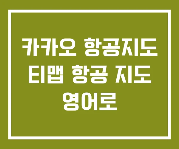 카카오 항공지도 티맵 항공 지도 영어로 카카오 항공지도 티맵 항공 지도 영어로