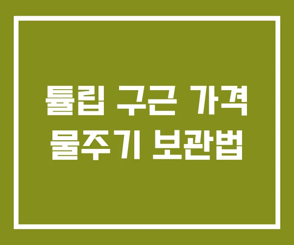 튤립 구근 가격 물주기 보관법