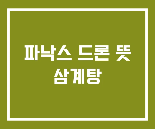 파낙스 드론 뜻 삼계탕