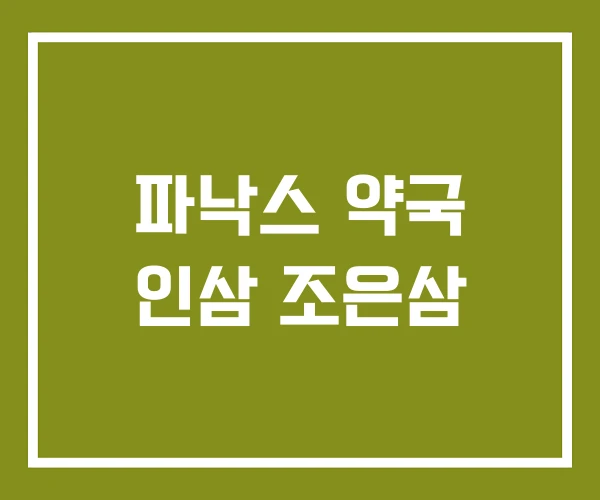 파낙스 약국 인삼 조은삼 파낙스 약국 인삼 조은삼