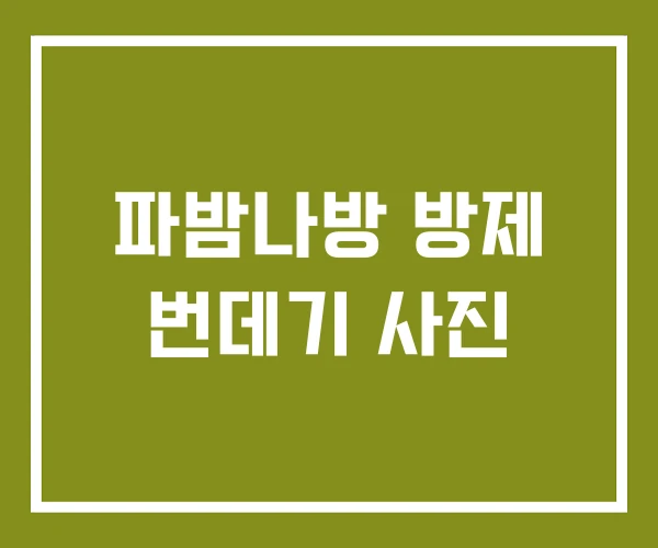 파밤나방 방제 번데기 사진