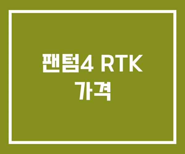 팬텀4 RTK 가격 팬텀4 RTK 가격