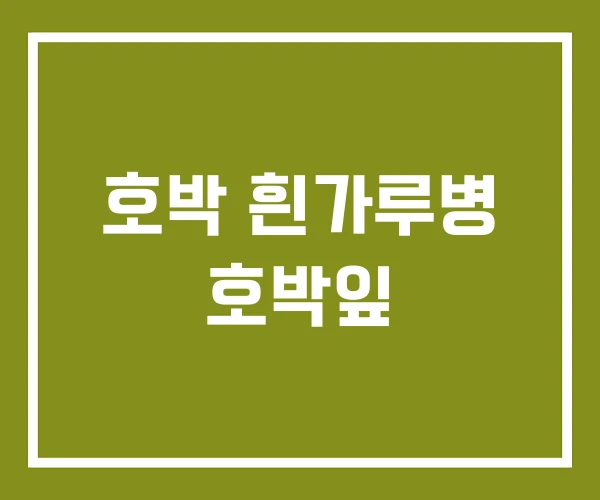 호박 흰가루병 호박잎