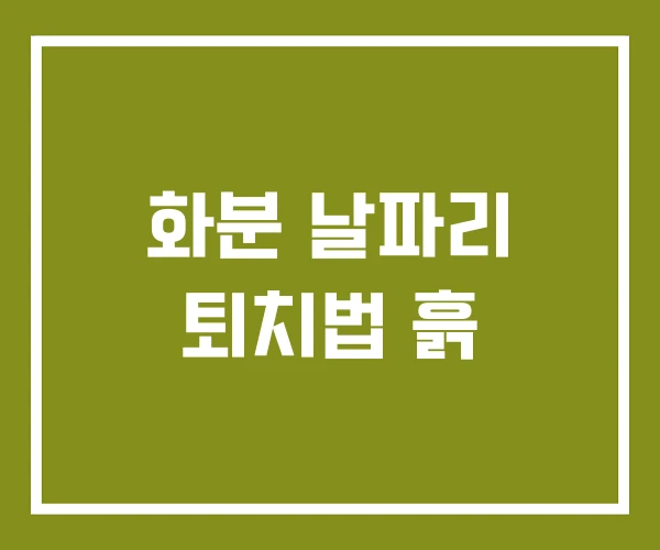 화분 날파리 퇴치법 흙 화분 날파리 퇴치법 흙