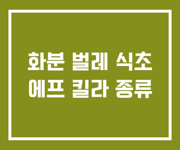 화분 벌레 식초 에프 킬라 종류