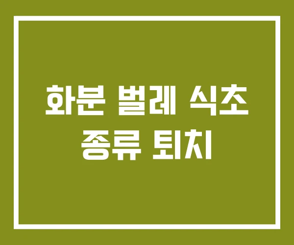 화분 벌레 식초 종류 퇴치 화분 벌레 식초 종류 퇴치