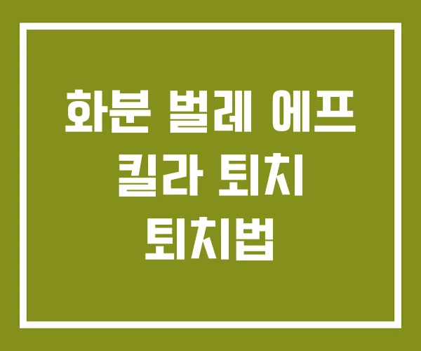 화분 벌레 에프 킬라 퇴치 퇴치법 화분 벌레 에프 킬라 퇴치 퇴치법