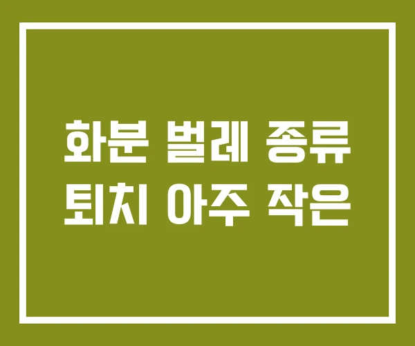 화분 벌레 종류 퇴치 아주 작은 화분 벌레 종류 퇴치 아주 작은