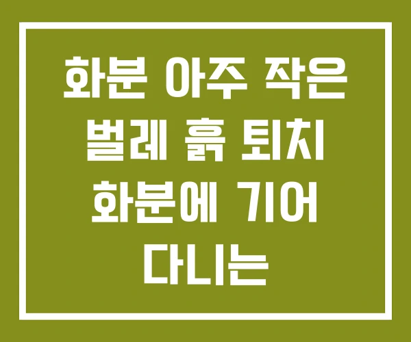화분 아주 작은 벌레 흙 퇴치 화분에 기어 다니는