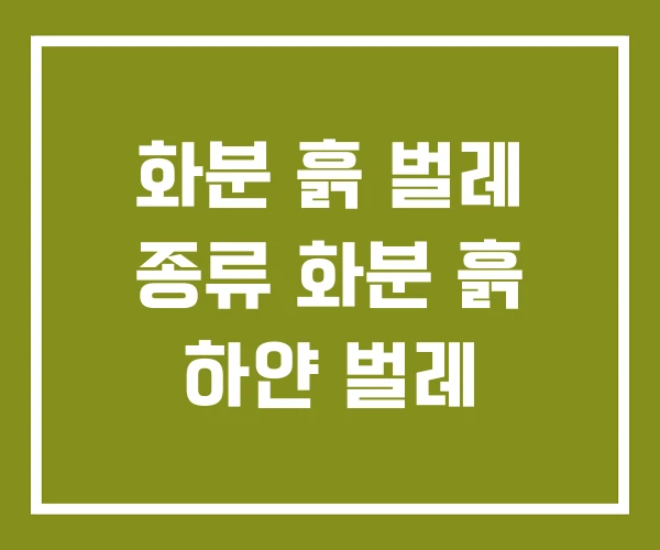 화분 흙 벌레 종류 화분 흙 하얀 벌레