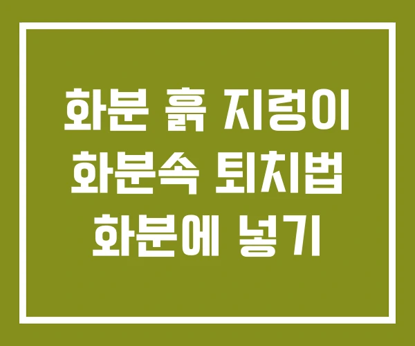 화분 흙 지렁이 화분속 퇴치법 화분에 넣기