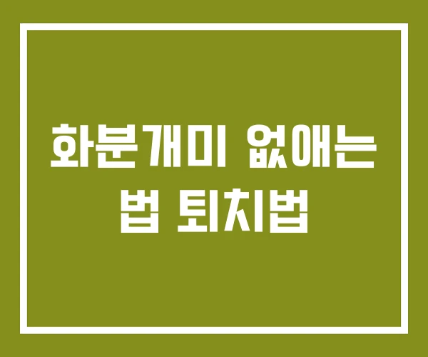 화분개미 없애는 법 퇴치법 화분개미 없애는 법 퇴치법