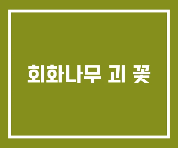 회화나무 괴 꽃 회화나무 괴 꽃
