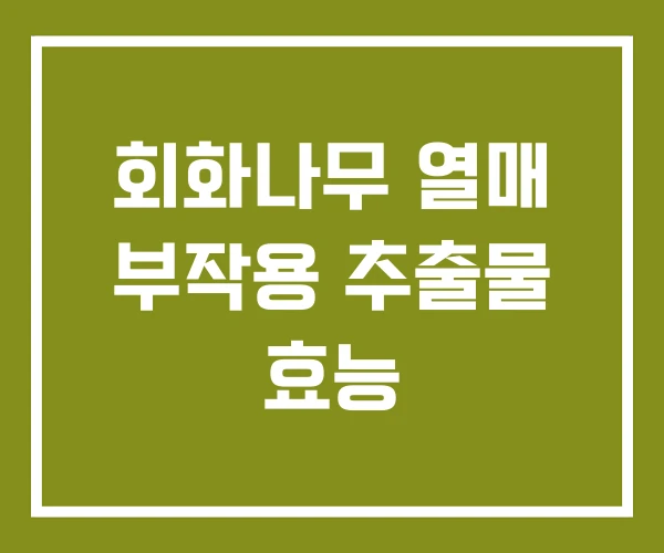 회화나무 열매 부작용 추출물 효능