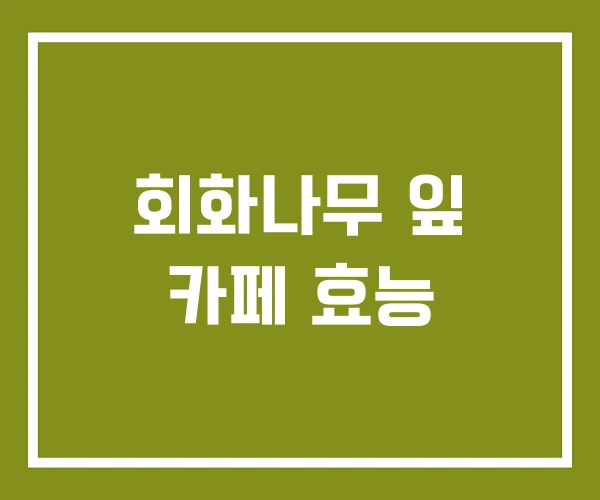 회화나무 잎 카페 효능 회화나무 잎 카페 효능