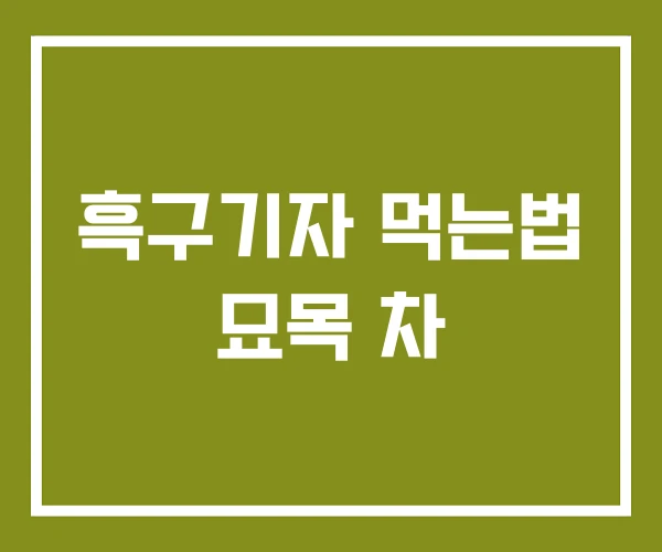 흑구기자 먹는법 묘목 차