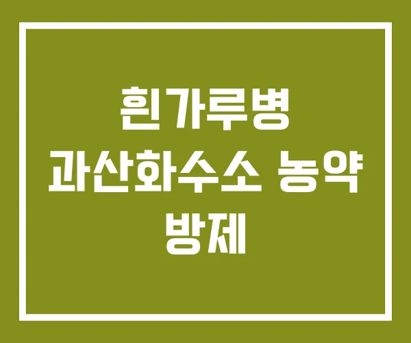 흰가루병 과산화수소 농약 방제