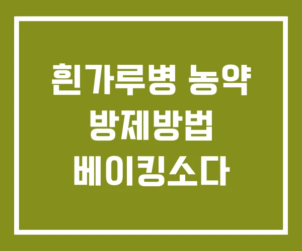 흰가루병 농약 방제방법 베이킹소다