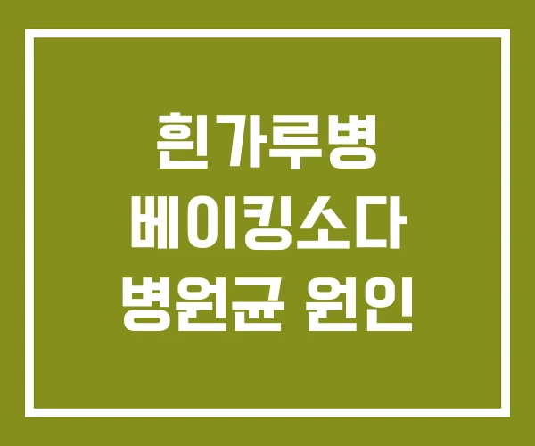 흰가루병 베이킹소다 병원균 원인