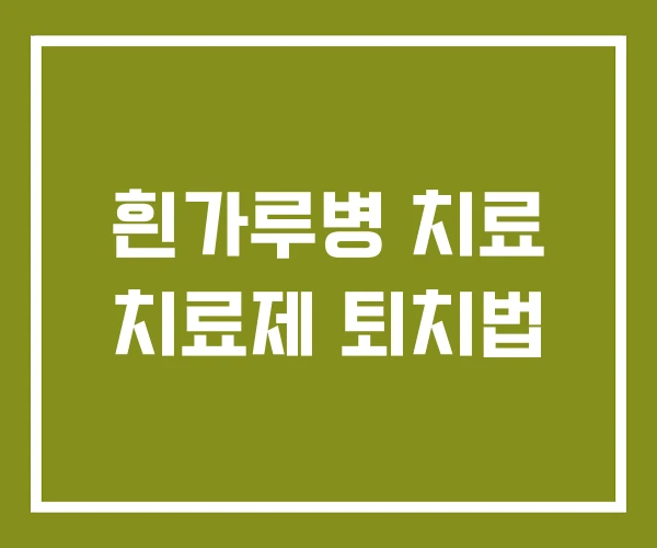 흰가루병 치료 치료제 퇴치법 흰가루병 치료 치료제 퇴치법