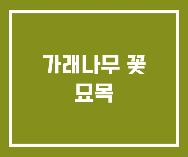 가래나무 꽃 묘목