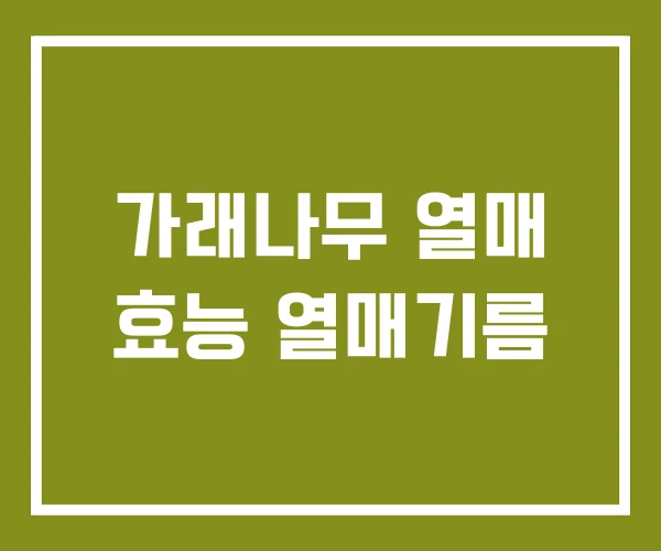 가래나무 열매 효능 열매기름 가래나무 열매 효능 열매기름