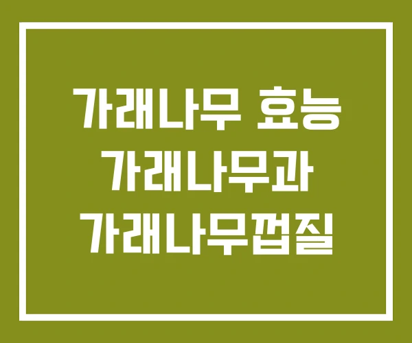 가래나무 효능 가래나무과 가래나무껍질 가래나무 효능 가래나무과 가래나무껍질