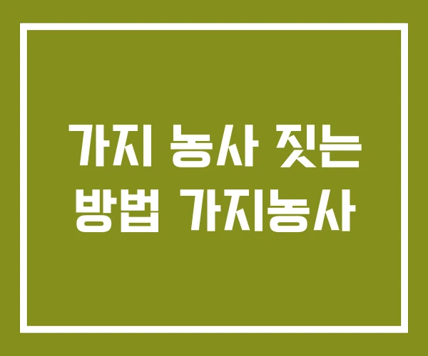 가지 농사 짓는 방법 가지농사