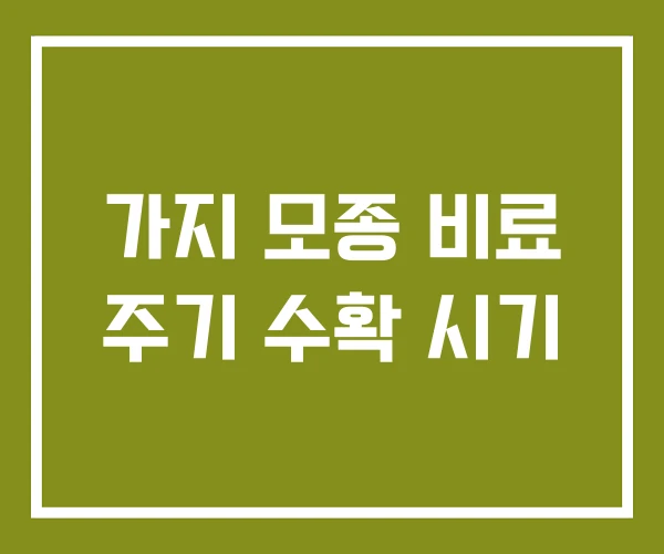 가지 모종 비료 주기 수확 시기 가지 모종 비료 주기 수확 시기