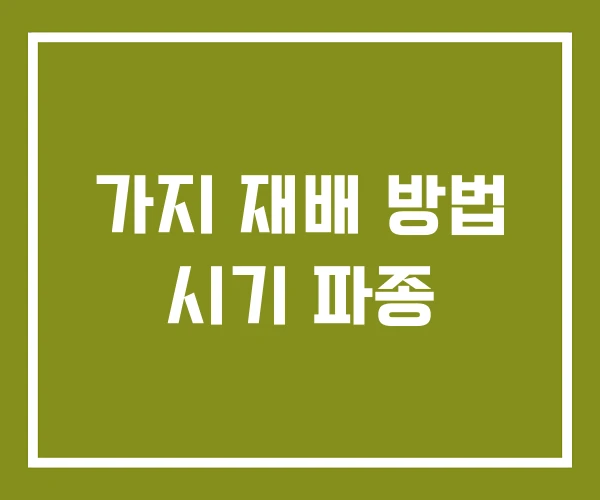 가지 재배 방법 시기 파종