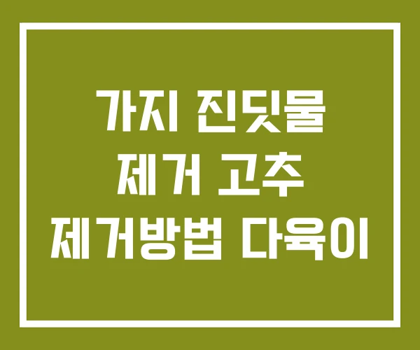 가지 진딧물 제거 고추 제거방법 다육이