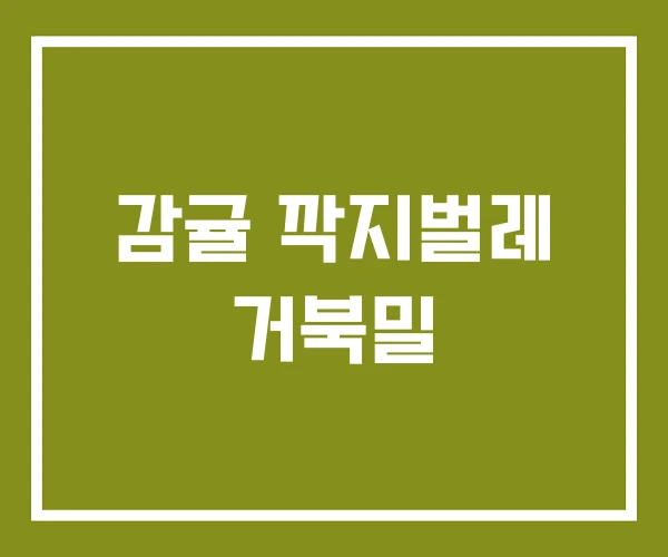 감귤 깍지벌레 거북밀 감귤 깍지벌레 거북밀