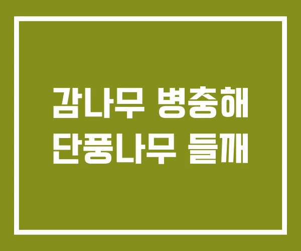 감나무 병충해 단풍나무 들깨 감나무 병충해 단풍나무 들깨