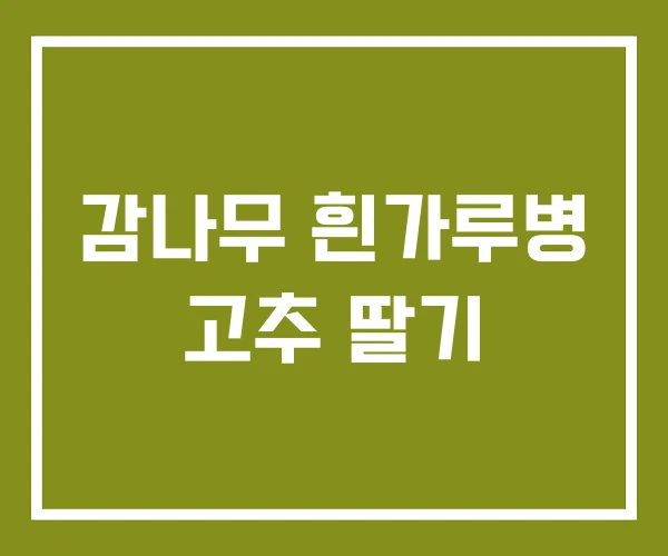감나무 흰가루병 고추 딸기