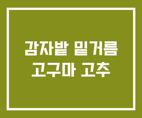 감자밭 밑거름 고구마 고추